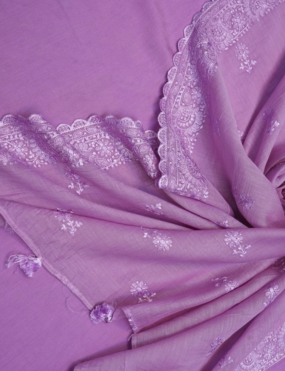 Zaphyra Lilac